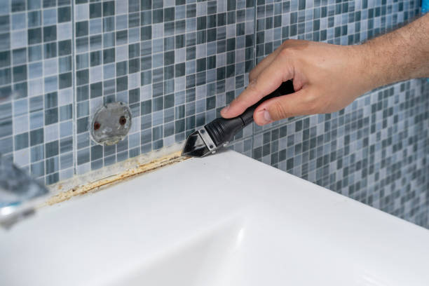 Best Black Mold Removal  in Silver Bay, MN